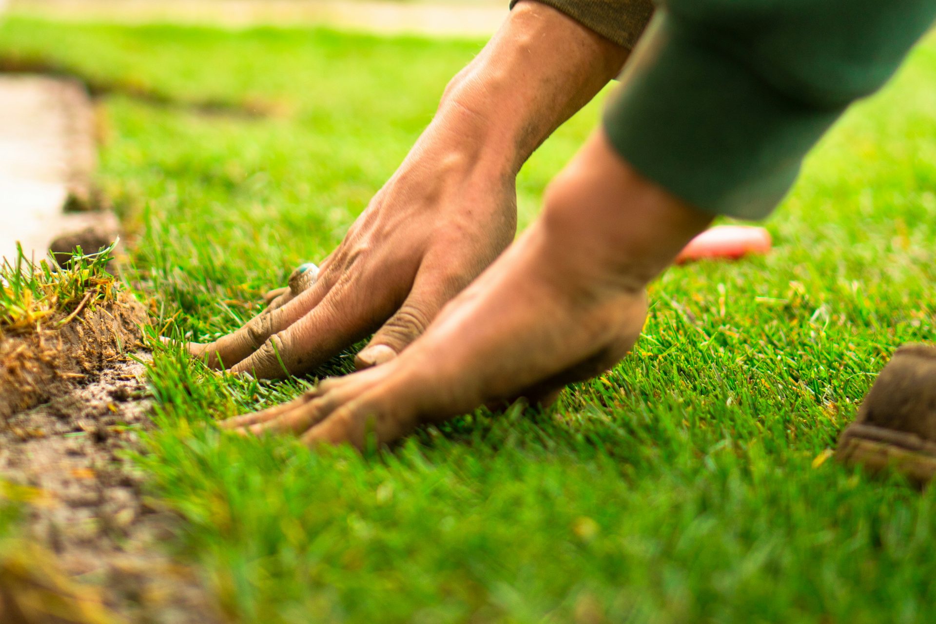 Hands pressing a roll of fresh turf into bare soil.